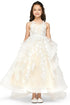 Girls Multi Color Lace Applique Sequin Train Tail Flower Girl Dress 2-16 - SophiasStyle.com